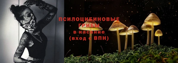 стафф Абдулино