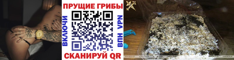Галлюциногенные грибы ЛСД  ссылка на мегу онион  Нижний Новгород 