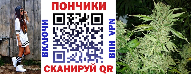 продажа наркотиков  Нижний Новгород  Марихуана SATIVA & INDICA 